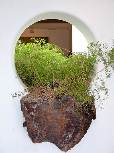 Jameos del Agua, Garten